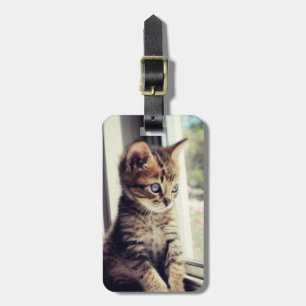 Etiqueta De Bagagem Observação do gatinho do gato malhado