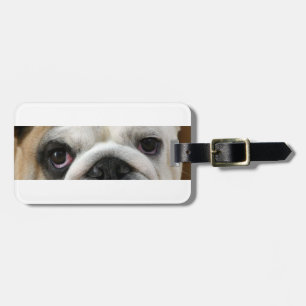 Etiqueta De Bagagem Olhos de Buldogue