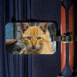 Etiqueta De Bagagem Olhos de ouro