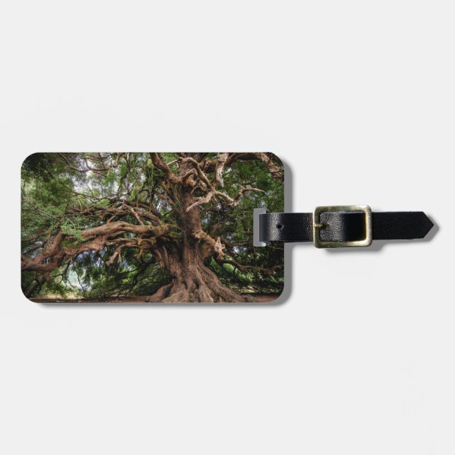 Etiqueta De Bagagem Oliveira velha rústica (Frente Horizontal)