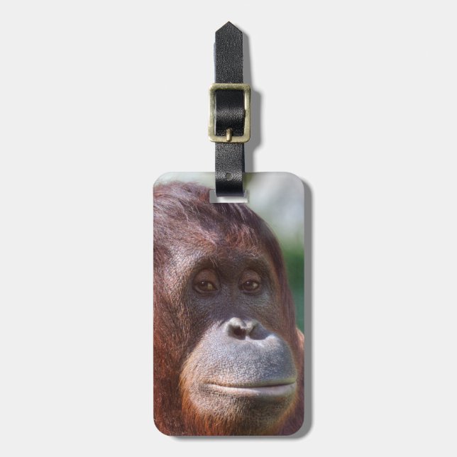 Etiqueta De Bagagem Orangutan Lady (Frente Vertical)