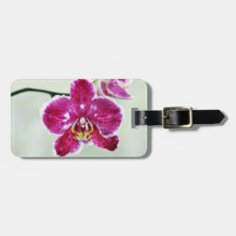 Etiqueta De Bagagem Orquídea Rosa
