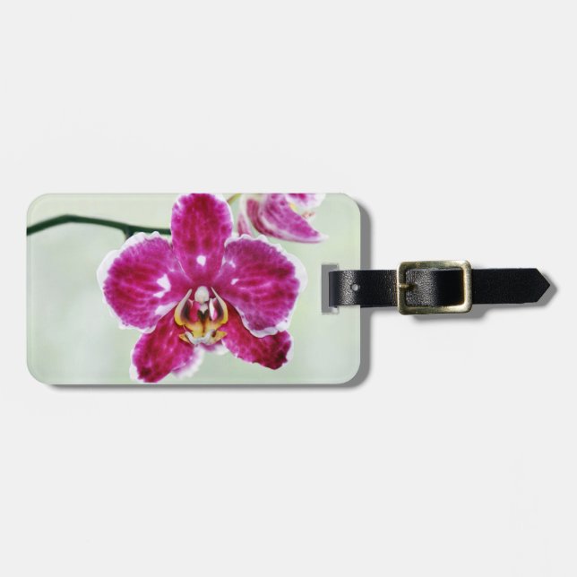Etiqueta De Bagagem Orquídea Rosa (Frente Horizontal)