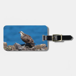 Etiqueta De Bagagem Osprey nas rochas