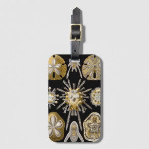 Etiqueta De Bagagem Ouriços-do-mar Dólares de Areia Vintage por Ernst 