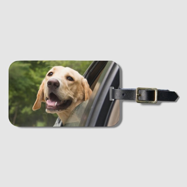 Etiqueta De Bagagem Ouro Labrador No Espelho Da Rearview (Frente Horizontal)