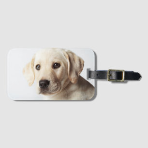 Etiqueta De Bagagem Ouro Labrador Puppy