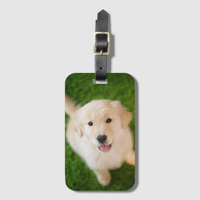 Etiqueta De Bagagem Ouro - Retirador de Puppy com Grass (Frente Vertical)