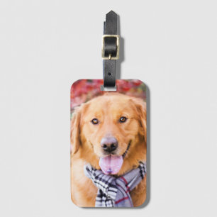 Etiqueta De Bagagem Ouro Retriever Em Scarf