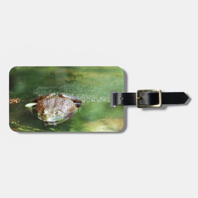 Etiqueta De Bagagem Ovos Para Colagem De Rãs De Bolso (Frente Horizontal)