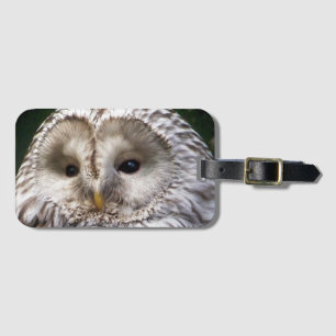 ETIQUETA DE BAGAGEM OWLS
