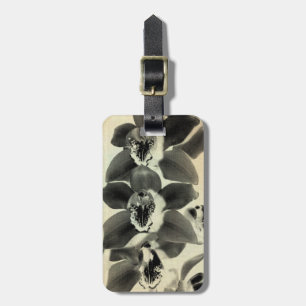 Etiqueta De Bagagem Painéis Blush Orquídeo IV