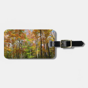 Etiqueta De Bagagem Paisagem de outono de Floresta II