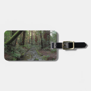 Etiqueta De Bagagem Paisagem Florestal do Córrego de Muir Woods