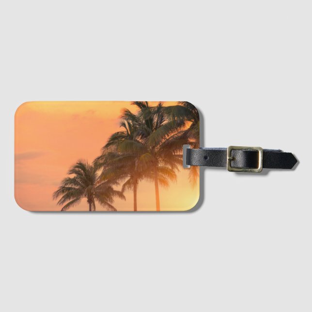 Etiqueta De Bagagem Palmas de Miami (Frente Horizontal)