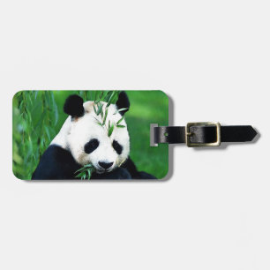 Etiqueta De Bagagem Panda que come as folhas