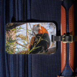 Etiqueta De Bagagem Panda vermelha