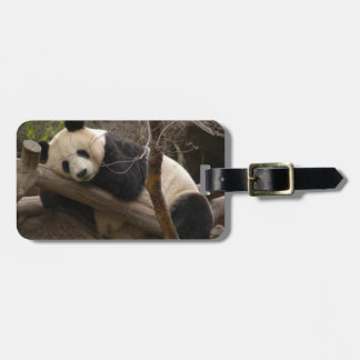 Etiqueta De Bagagem PandaSD003