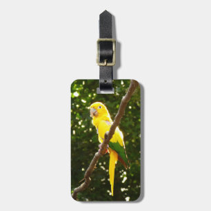 Etiqueta De Bagagem Papagaio Amarelo