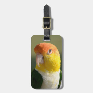 Etiqueta De Bagagem Papagaio inchado branco do Caique