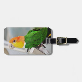 Etiqueta De Bagagem Papagaio inchado branco do Caique
