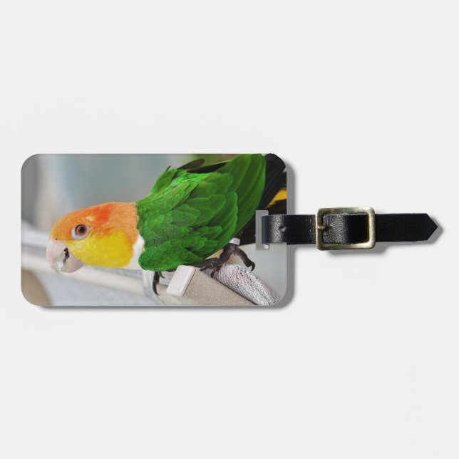 Etiqueta De Bagagem Papagaio inchado branco do Caique (Frente Horizontal)