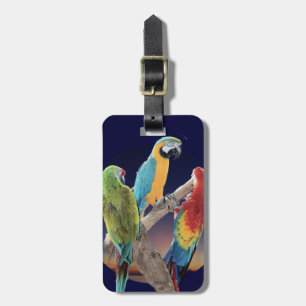 Etiqueta De Bagagem Papagaios do Macaw