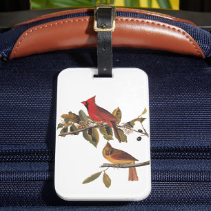 Etiqueta De Bagagem Par de Cardinals de Audubon em Amendoeira Silvestr