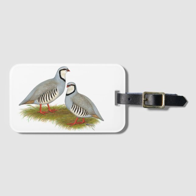 Etiqueta De Bagagem Par de Chukar Partridge (Frente Horizontal)