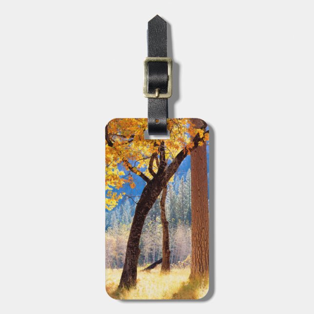 Etiqueta De Bagagem Parque Nacional de Yosemite (Frente Vertical)
