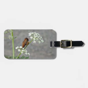 Etiqueta De Bagagem Pássaro-do-mar na flor da renda da Rainha Ann
