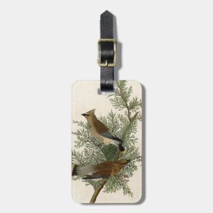 Etiqueta De Bagagem Pássaro do Waxwing de cedro de Audubon