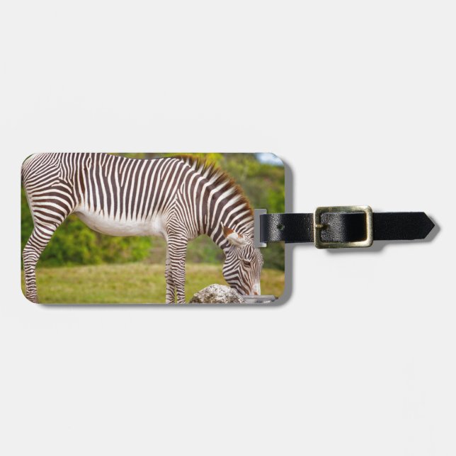 Etiqueta De Bagagem Pastando a zebra (Frente Horizontal)