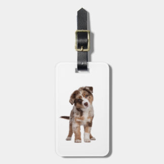 Etiqueta De Bagagem Pastor australiano |