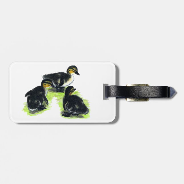 Etiqueta De Bagagem Patinhos-de-pescoço-verde (Traseira Horizontal)
