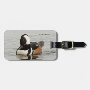 Etiqueta De Bagagem Pato de Merganser Hooded Atormentante no Pond