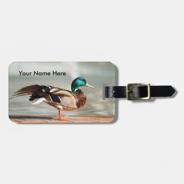 Etiqueta De Bagagem Pato Male Mallard Personalizável (Frente Horizontal)