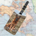 Etiqueta De Bagagem Peça personalizada para fotocão<br><div class="desc">Adicione uma de suas próprias fotos favoritas. Personalize e adicione seu nome e informações de contato. Fundo: fundo preto,  texto branco.</div>