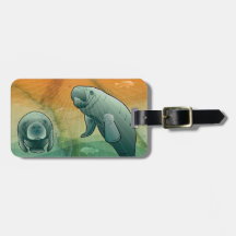 Peixe-boi litoral de Florida