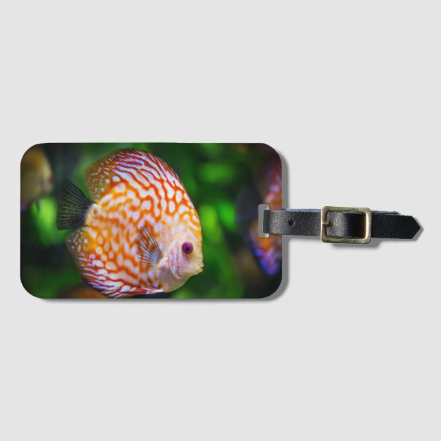 Etiqueta De Bagagem Peixe de mesa  (Frente Horizontal)