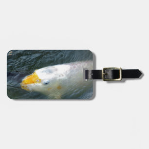 Etiqueta De Bagagem Peixe Goldfish No Lago