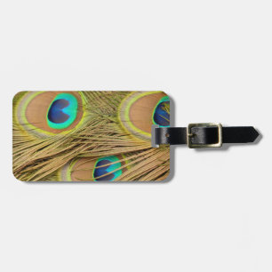 Etiqueta De Bagagem Penas de Peacock