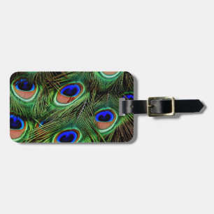 Etiqueta De Bagagem Penas de Peacock