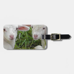 Etiqueta De Bagagem Pensamento animal do bebê gêmeo do cordeiro de