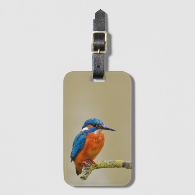 Etiqueta De Bagagem Perching Kingfisher (Frente Vertical)