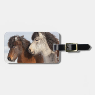 Etiqueta De Bagagem Perfil do cavalo islandês, Islândia