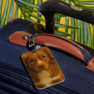 Etiqueta De Bagagem Personalização personalizada da foto