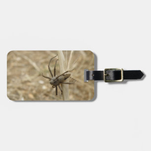 Etiqueta de Bagagem Personalizada de Aranha Crawly