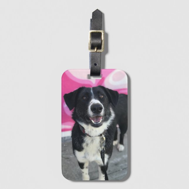 Etiqueta de Bagagem Personalizada de Foto de Cão P (Frente Vertical)