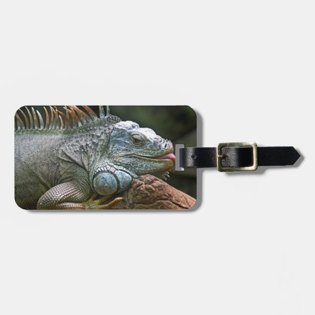 Etiqueta de bagagem personalizada de Iguana (Frente Horizontal)